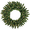 Vickerman 24" Camdon Fir Christmas Wreath with Warm White LED Lights Image 1