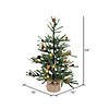 Vickerman 24" Carmel Pine Artificial Christmas Tree, Clear Dura-lit Lights Image 2