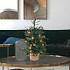 Vickerman 24" Carmel Pine Artificial Christmas Tree, Clear Dura-lit Lights Image 4