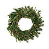 Vickerman 24" Cashmere Christmas Wreath - Unlit Image 1