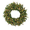 Vickerman 24" Cashmere Christmas Wreath with Clear Lights Image 1