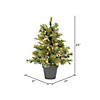 Vickerman 24" Cashmere Pine Christmas Tree with Clear Lights Image 2