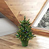 Vickerman 24" Cashmere Pine Christmas Tree with Multi-Colored LED Lights Image 2
