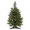 Vickerman 24" Cashmere Pine Christmas Tree with Warm White LED Lights Image 1