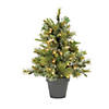 Vickerman 24" Cashmere Pine Christmas Tree with Warm White LED Lights Image 1