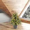 Vickerman 24" Cashmere Pine Christmas Tree with Warm White LED Lights Image 2