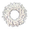 Vickerman 24" Crystal White Spruce Christmas Wreath - Unlit Image 1