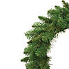 Vickerman 24" Durango Spruce Christmas Wreath - Unlit Image 1