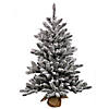 Vickerman 24" Flocked Anoka Pine Artificial Christmas Tree, Unlit Image 1