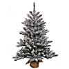 Vickerman 24" Flocked Anoka Pine Christmas Tree with Clear Lights Image 1