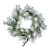Vickerman 24" Frosted Ansell Pine Artificial Christmas Wreath, Unlit Image 1