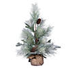 Vickerman 24" Frosted Ansell Pine Tree - Unlit Image 1