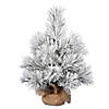 Vickerman 24" Frosted Beckett Pine Christmas Tree Image 1