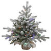 Vickerman 24" Frosted Sable Pine Christmas Tree with Multi-Colored LED Lights Image 1