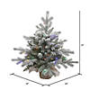 Vickerman 24" Frosted Sable Pine Christmas Tree with Multi-Colored LED Lights Image 1