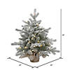 Vickerman 24" Frosted Sable Pine Christmas Tree with Warm White LED Lights Image 1