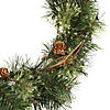 Vickerman 24" Mixed Country Pine Christmas Wreath with Clear Lights Image 1