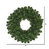 Vickerman 24" Oregon Fir Christmas Wreath - Unlit Image 1