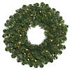 Vickerman 24" Oregon Fir Christmas Wreath with Clear Lights Image 1