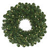 Vickerman 24" Oregon Fir Christmas Wreath with Warm White LED Lights Image 1