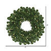 Vickerman 24" Oregon Fir Christmas Wreath with Warm White LED Lights Image 1