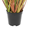 Vickerman 24" PVC Artificial Potted Green and Brown Grass and Plastic Grass Image 2