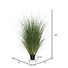 Vickerman 24" PVC Artificial Potted Green Curled Grass Image 3