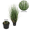 Vickerman 24" PVC Artificial Potted Green Curled Grass Image 4