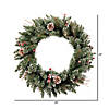 Vickerman 24" Snow Tipped Pine and Berry Christmas Wreath - Unlit Image 3