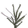 Vickerman 24&quot; Vienna Twig Artificial Christmas Tree, Unlit Image 1