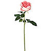 Vickerman 25" Artificial Dark Pink Open Rose Stem, 6 per Bag Image 1
