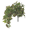 Vickerman 25" Artificial Green Hanging Ivy Bush Image 1