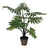 Vickerman 25" Artificial Potted Grand Philodendron Bush Image 1