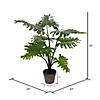 Vickerman 25" Artificial Potted Grand Philodendron Bush Image 3