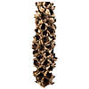 Vickerman 26-28" Natural Giant Seed Pod - Half Image 1