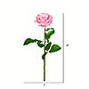 Vickerman 26" Artificial Pale Pink Rose Stem, 6 per Bag Image 1