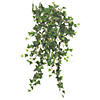 Vickerman 26" Green Mini Ivy Hanging Bush Image 1