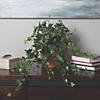 Vickerman 26" Green Mini Ivy Hanging Bush Image 1