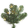 Vickerman 26" Oregon Fir Christmas Tree with Clear Lights Image 1