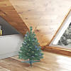 Vickerman 26" Oregon Fir Christmas Tree with Multi-Colored LED Lights Image 2