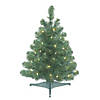 Vickerman 26" Oregon Fir Christmas Tree with Warm White LED Lights Image 1