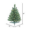 Vickerman 26" Oregon Fir Christmas Tree with Warm White LED Lights Image 3