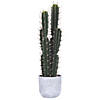 Vickerman 27.5" Artificial Green Cactus Potted Plant Image 1