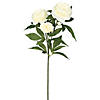 Vickerman 27" Artificial Cream Rose Spray. Includes 3 sprays per pack. Image 1