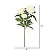 Vickerman 27" Artificial Cream Rose Spray. Includes 3 sprays per pack. Image 2