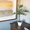 Vickerman 27" Artificial Green Olive Hill Tree Image 1