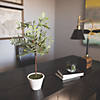 Vickerman 27" Artificial Green Olive Hill Tree Image 2