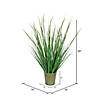 Vickerman 28" Artificial Potted Green Reed Grass Image 1