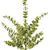 Vickerman 28" Lime Artificial Eucalyptus Glitter Spray, 2 per bag. Image 1