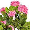 Vickerman 29" Pink Polyester Geranium Hanging Bush Image 1